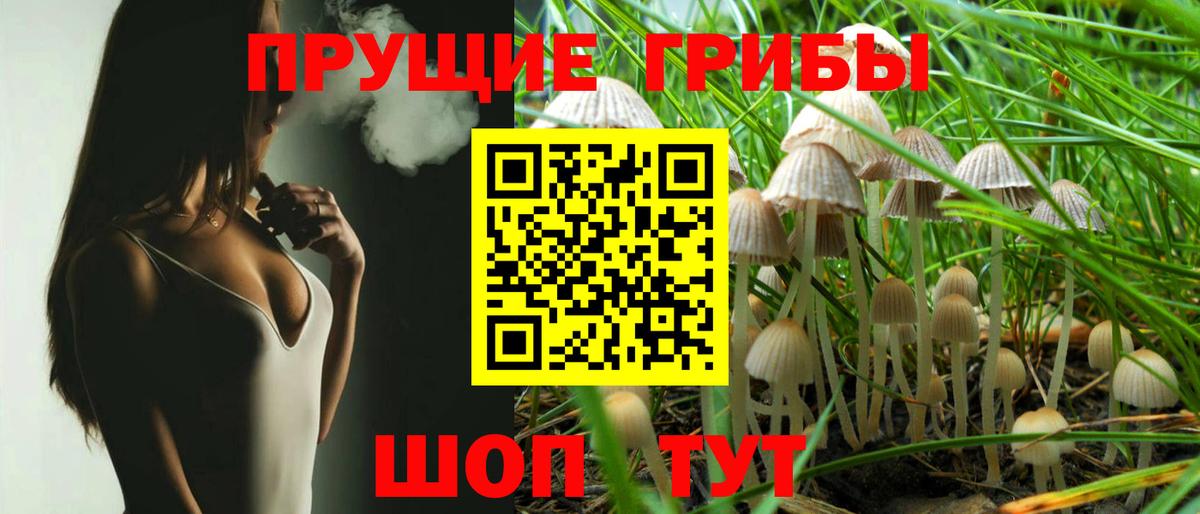 Псилоцибиновые грибы Psilocybine cubensis Ростов-на-Дону
